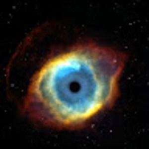 Meet your Posher, Meagan